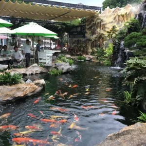 Mái che cà fê sân vườn-phục vụ quán nhậu tại Bà Rịa Vũng Tàu